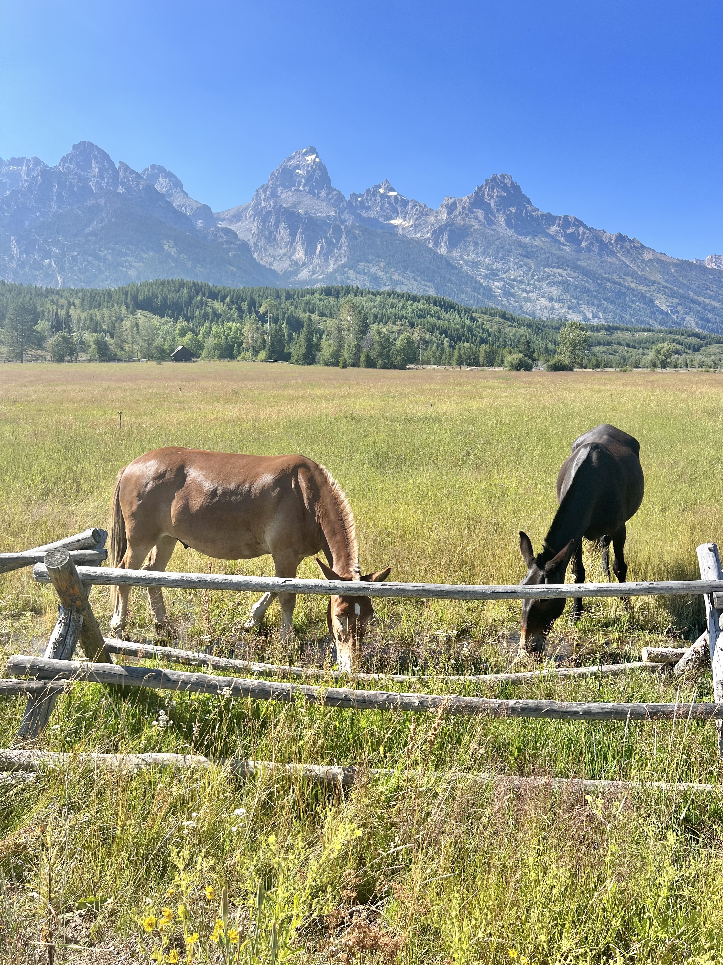 teton national park - wyoming
