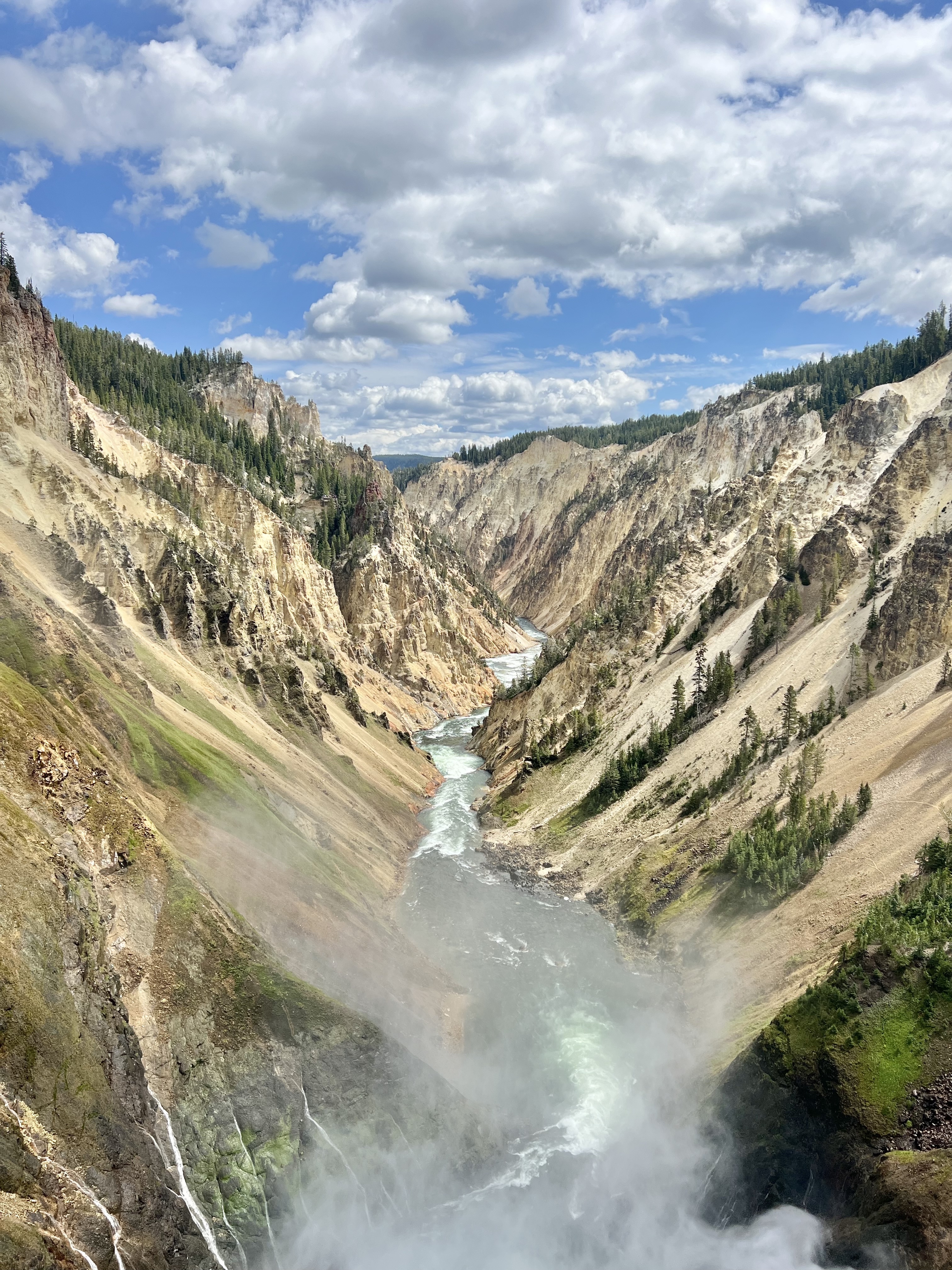 grand canyon of yellowstone